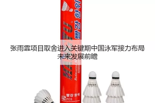 张雨霏项目取舍进入关键期中国泳军接力布局未来发展前瞻